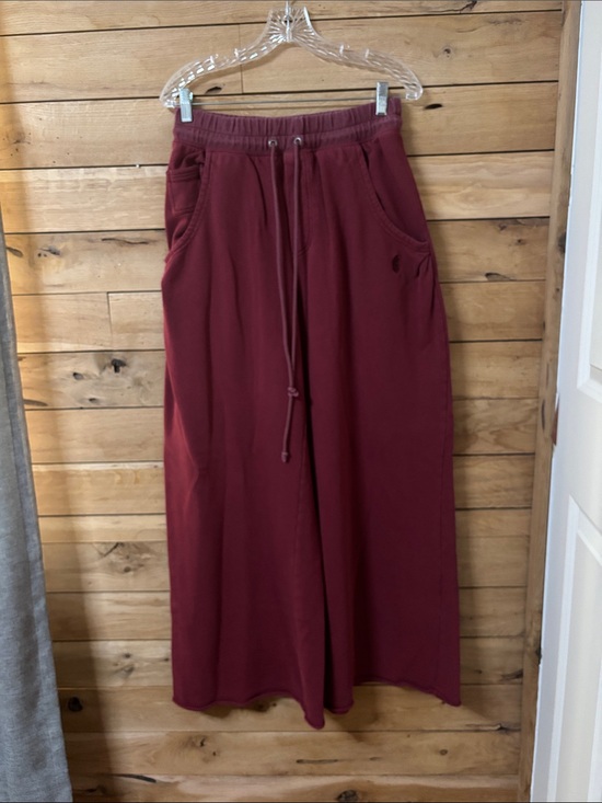 Pants - Free people mi enemy wide leg sweat pant